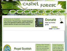 Tablet Screenshot of cashel.org.uk